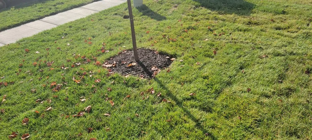 Professional outdoor landscaping experts serving Saint Louis, MO - Mr Landscape 314