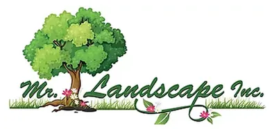 Local yard cleanup service in Chestnut Ridge, NY - Mr. Landscape