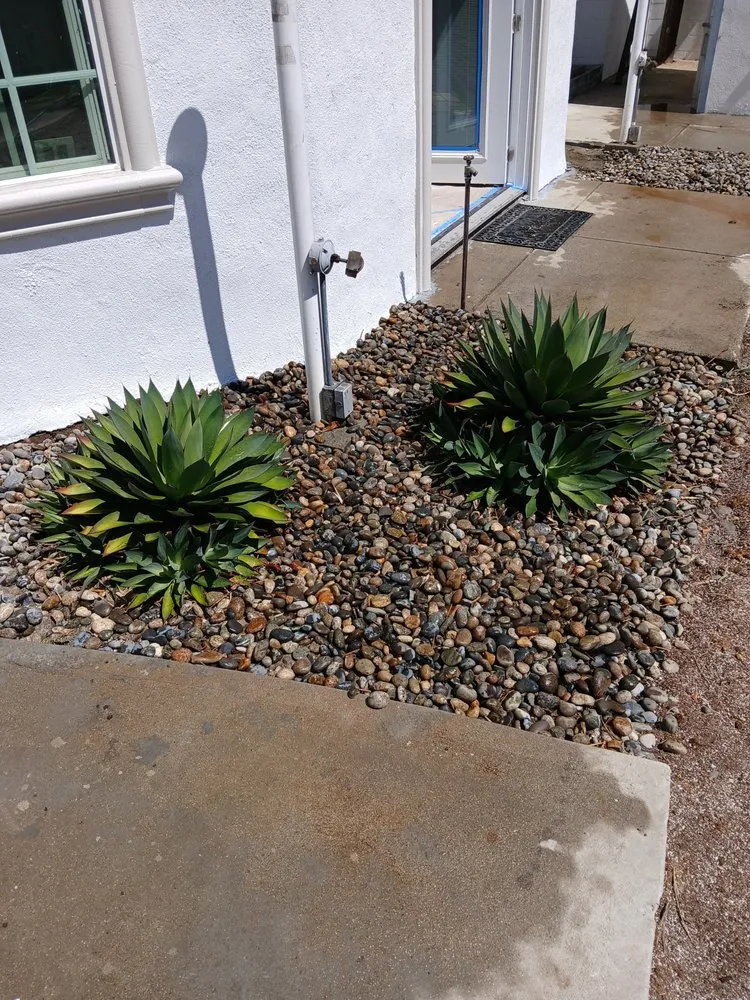 Reliable yard cleanup service in Inglewood, CA by Mr Landscape