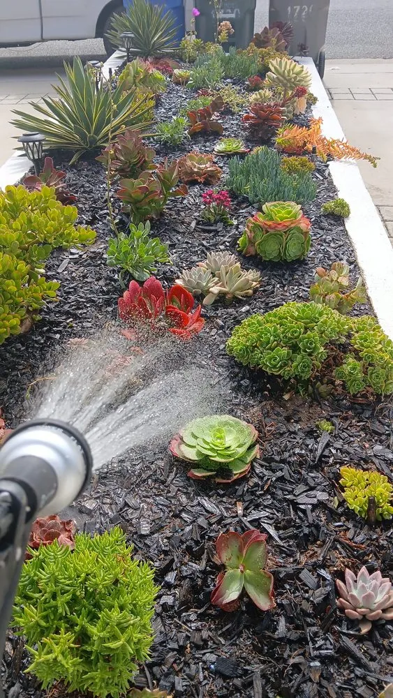Trusted landscape installation in Inglewood, CA by Mr Landscape