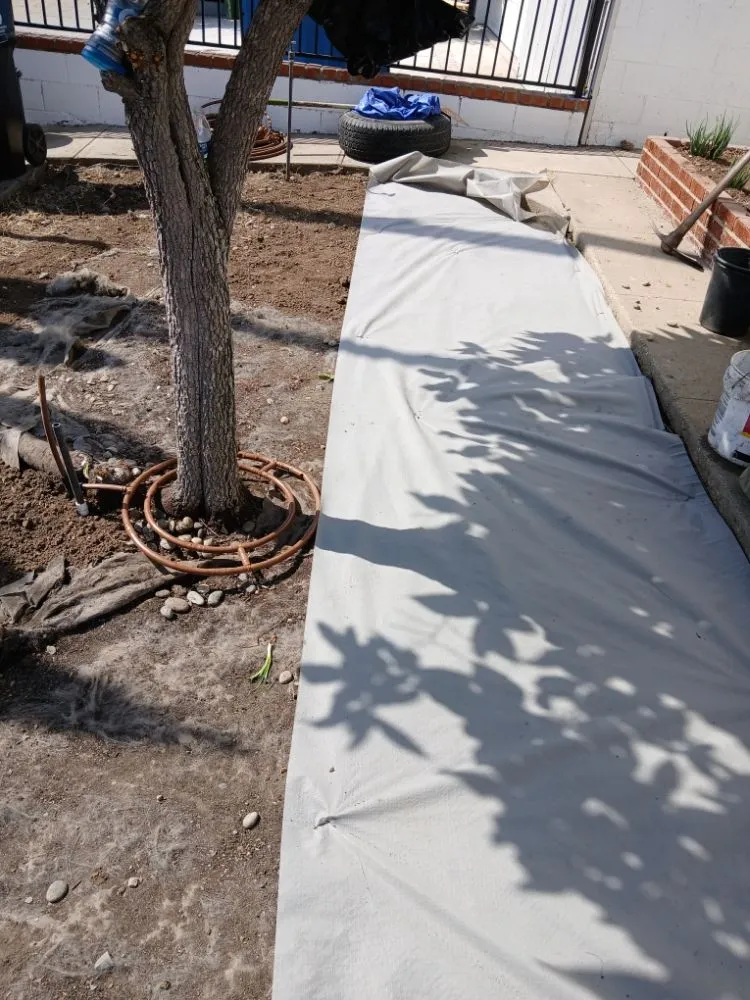 Local yard cleanup service for outdoor upgrades across Inglewood, CA - Mr Landscape