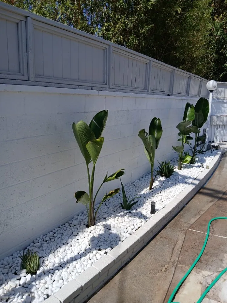 Top-rated outdoor landscaping near you across Inglewood, CA - Mr Landscape