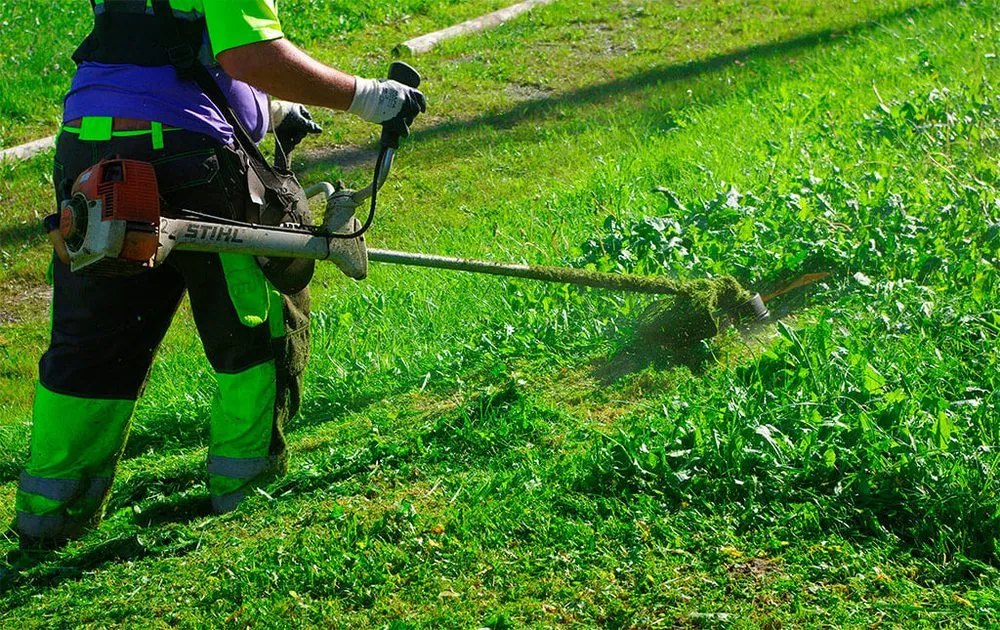 Custom residential landscaping in Inglewood, CA by Mr Landscape