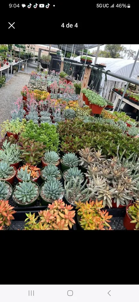 Expert residential landscaping for homes in Inglewood, CA by Mr Landscape