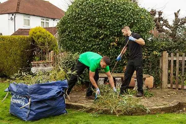 Expert outdoor landscaping for residential properties across Inglewood, CA - Mr Landscape