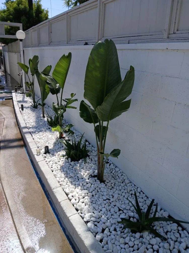 Expert lawn care service for year-round maintenance across Inglewood, CA - Mr Landscape