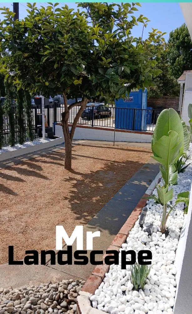 Expert yard maintenance for outdoor upgrades in Inglewood, CA by Mr Landscape