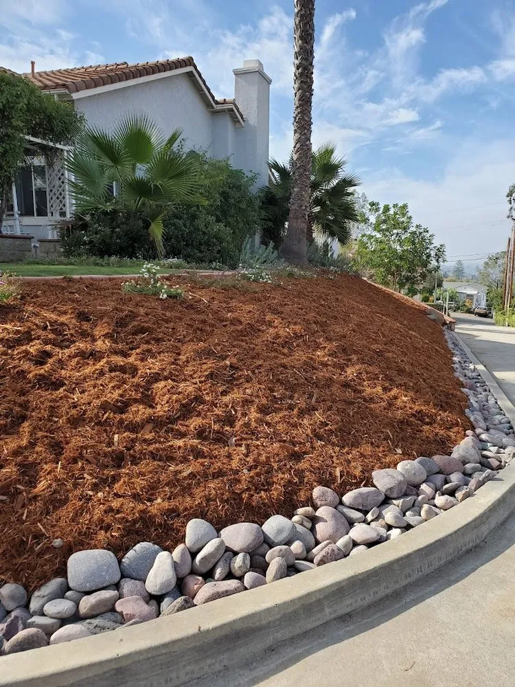 Custom lawn care service experts serving San Diego, CA - Mr Landscape