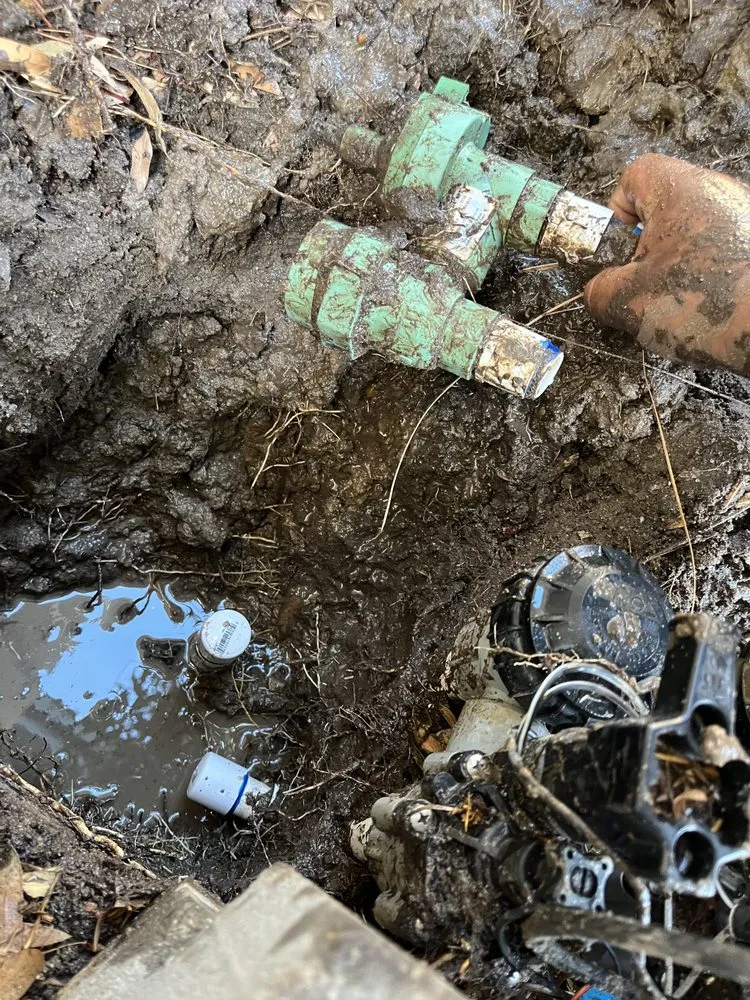 Top-rated outdoor landscaping in San Diego, CA by Mr Landscape