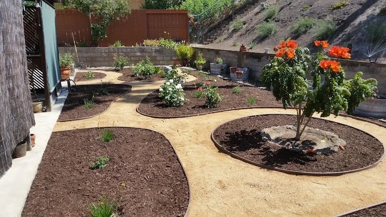 Expert yard cleanup service for homes across San Diego, CA - Mr Landscape