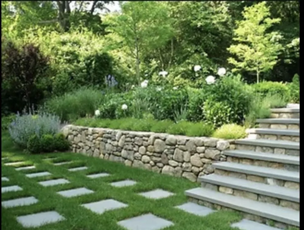 Top-rated residential landscaping in San Juan Capistrano, CA - Mr Landscape