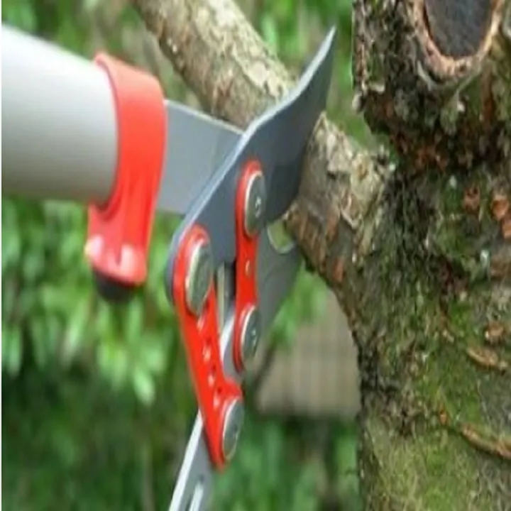 Affordable landscape installation experts serving Glenside, PA - Mr Landscaper