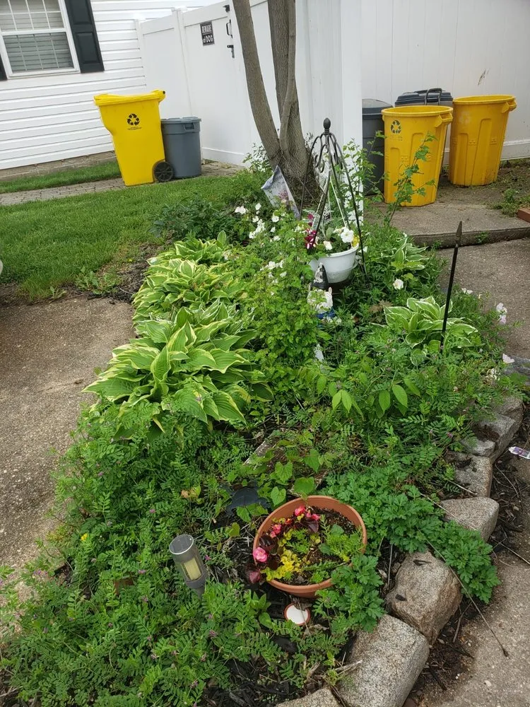 Affordable residential landscaping for year-round maintenance across Baltimore, MD - MR Landscaping