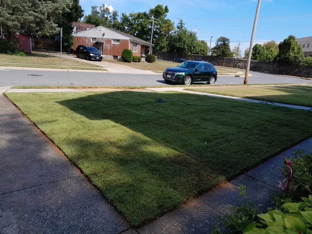 Affordable landscaping services in Baltimore, MD by MR Landscaping