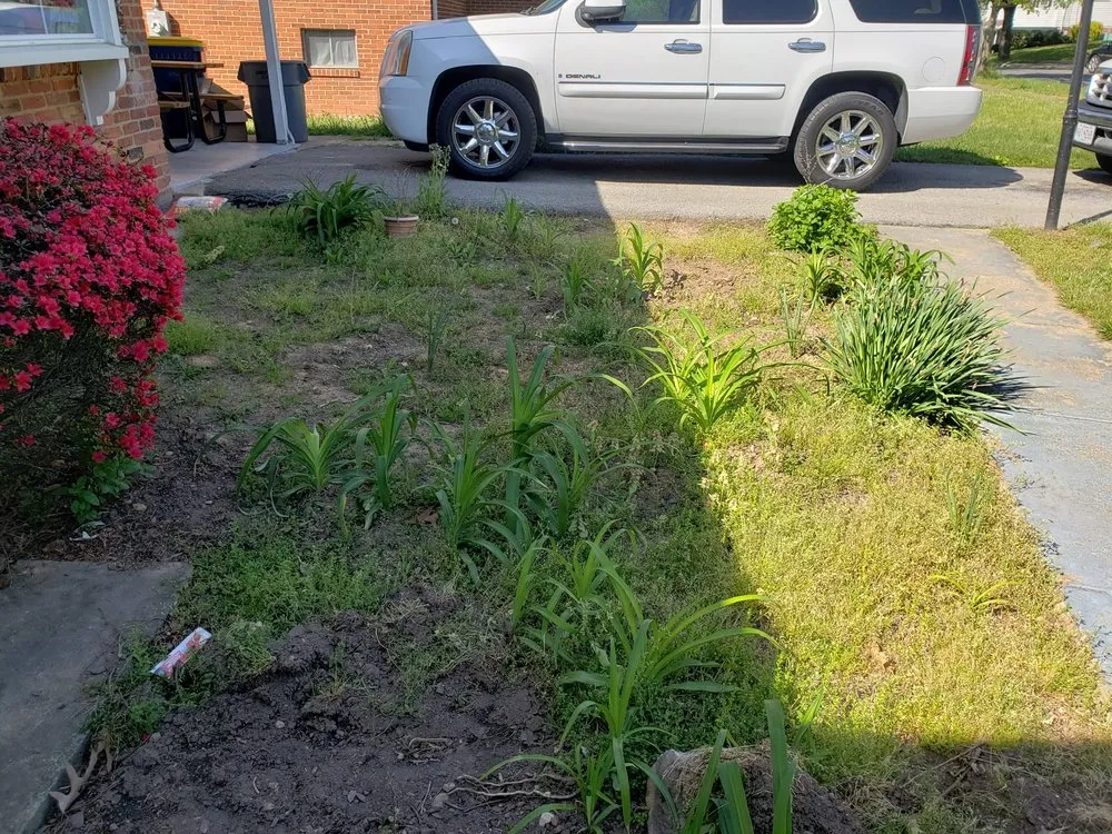 Local landscaping services in Baltimore, MD - MR Landscaping