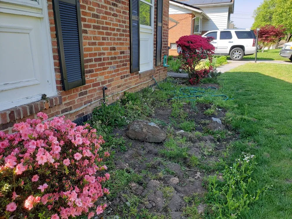 Custom yard cleanup service in Baltimore, MD by MR Landscaping