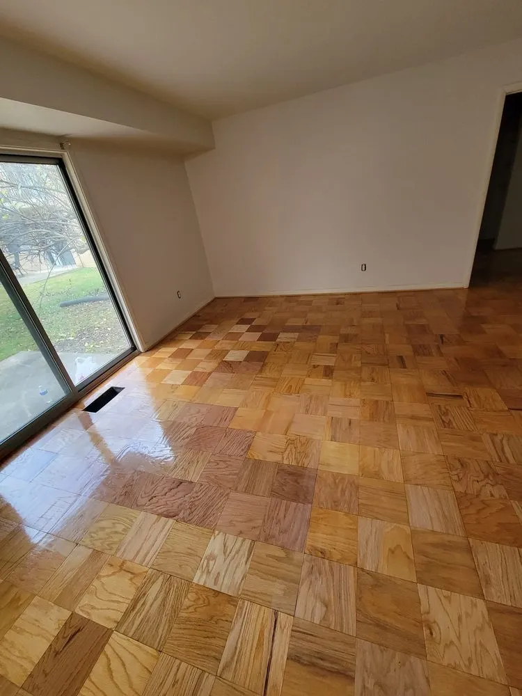 Top-rated yard cleanup service for year-round maintenance in Baltimore, MD by MR Landscaping