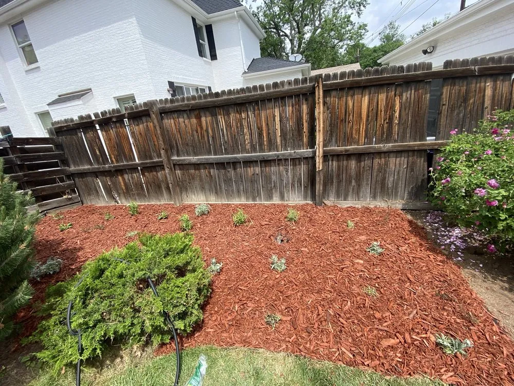 Local residential landscaping experts serving Denver, CO - M&R Landscaping