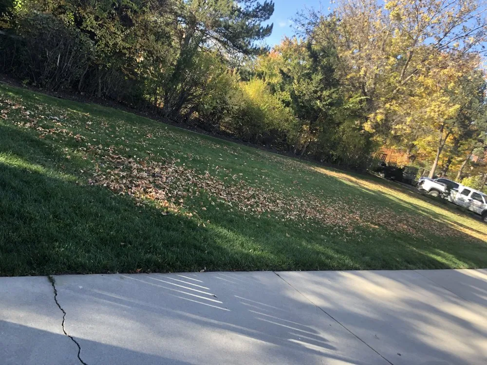 Trusted outdoor landscaping in Denver, CO by M&R Landscaping