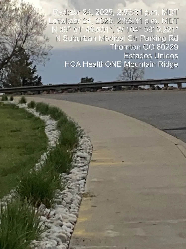 Expert lawn care service with custom design across Denver, CO - M&R Landscaping