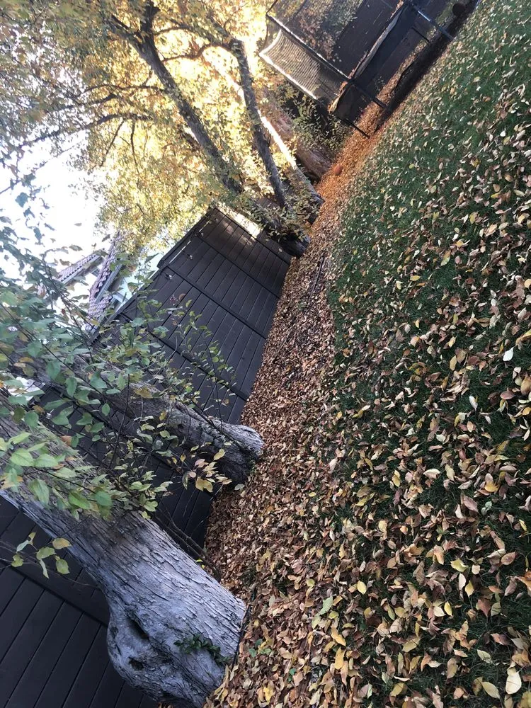 Local yard maintenance in Denver, CO - M&R Landscaping