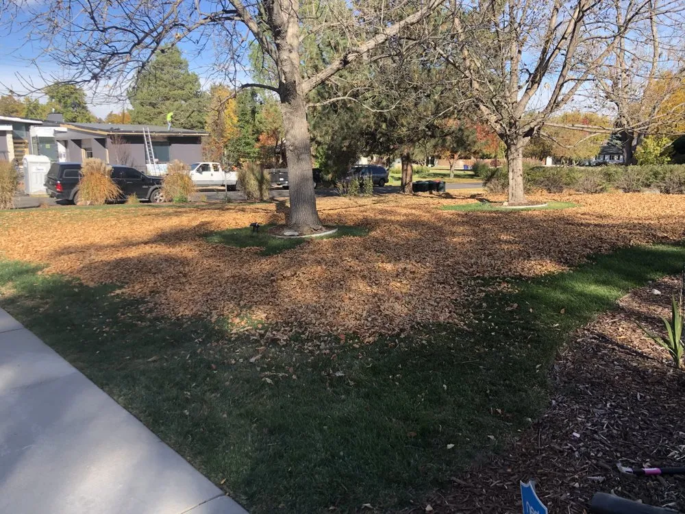 Professional landscape design with custom design in Denver, CO by M&R Landscaping