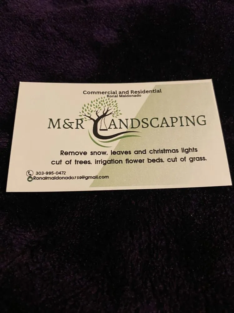 Top-rated yard maintenance in Denver, CO by M&R Landscaping