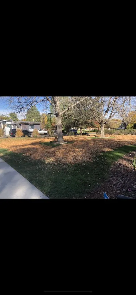 Affordable landscaping services experts serving Denver, CO - M&R Landscaping