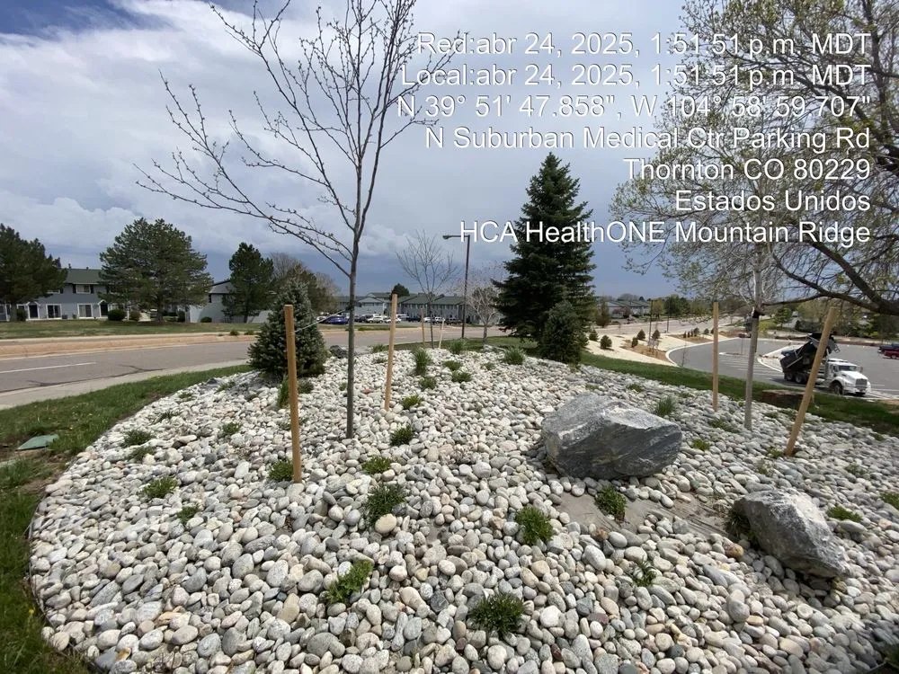 Reliable yard maintenance for outdoor upgrades in Denver, CO by M&R Landscaping