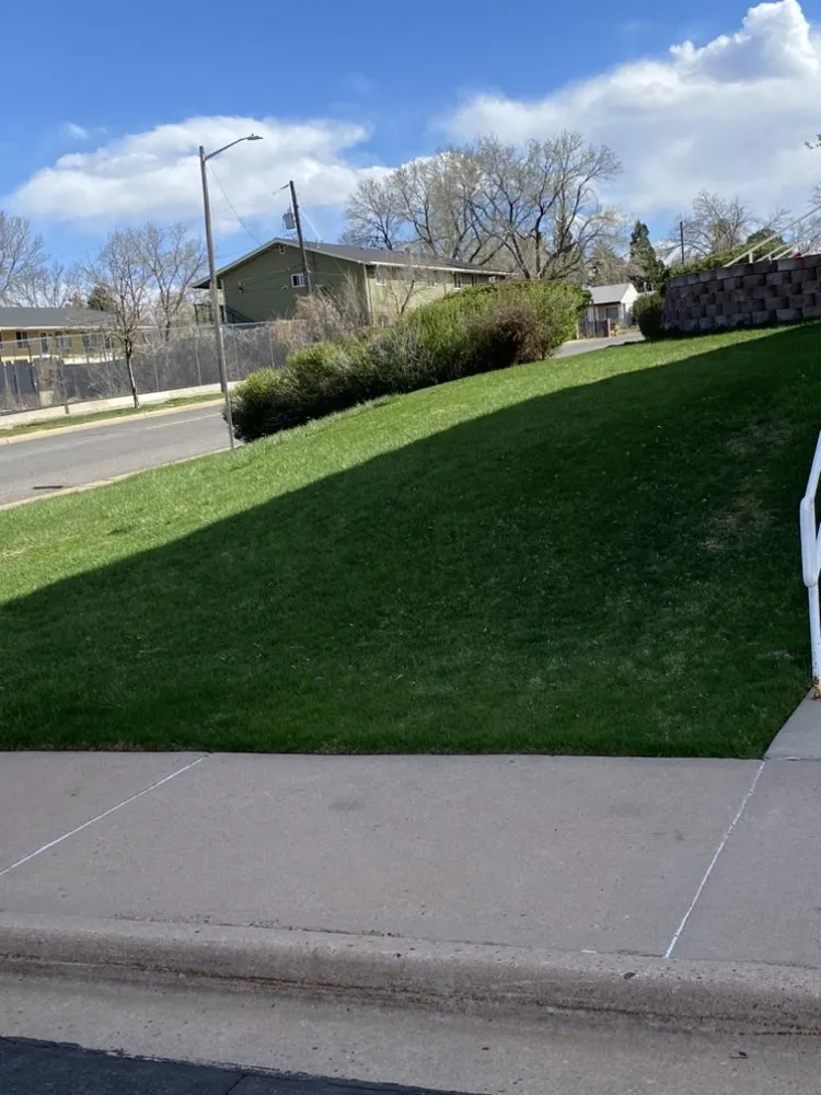 Top-rated yard cleanup service in Denver, CO - M&R Landscaping