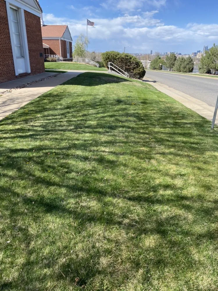 Affordable yard cleanup service in Denver, CO by M&R Landscaping