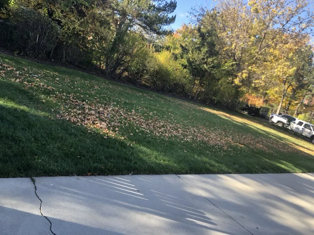 Custom landscaping services in Denver, CO by M&R Landscaping