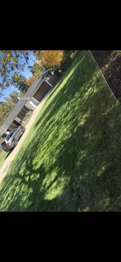 Professional landscape installation experts serving Denver, CO - M&R Landscaping