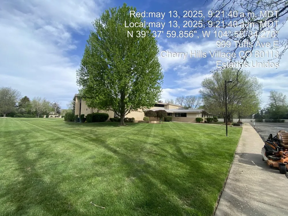 Reliable yard cleanup service experts serving Denver, CO - M&R Landscaping