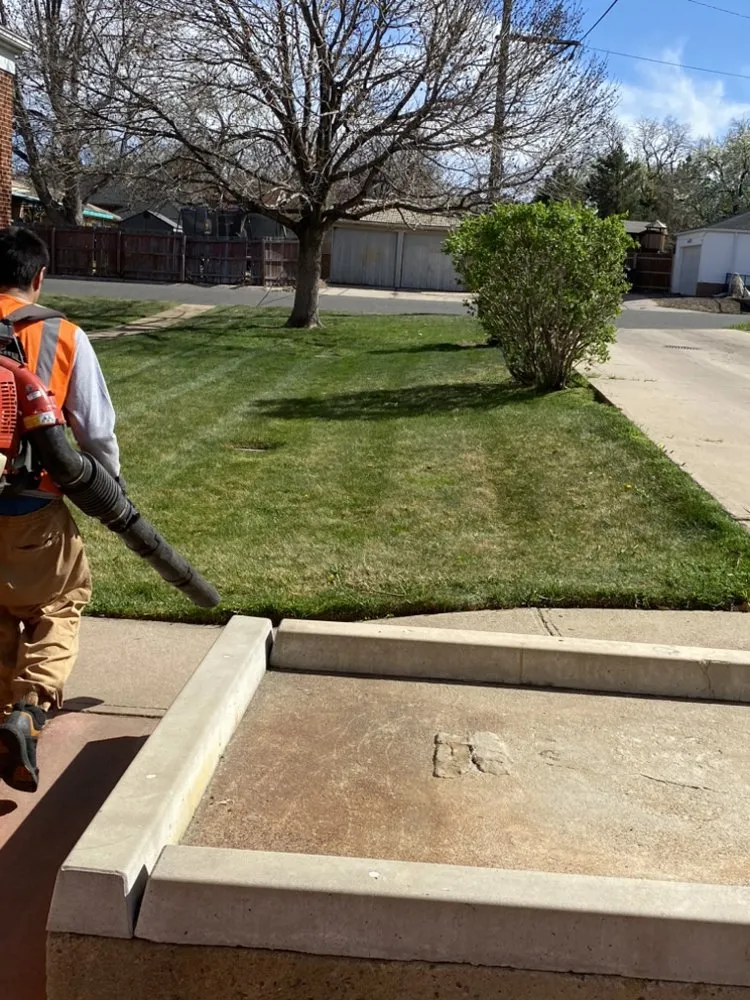 Expert landscape installation experts serving Denver, CO - M&R Landscaping