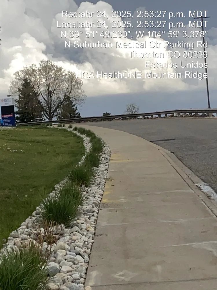 Custom yard maintenance in Denver, CO - M&R Landscaping