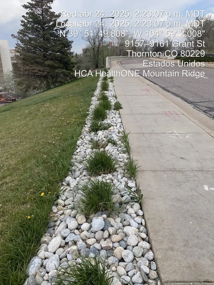 Local landscape installation for outdoor upgrades across Denver, CO - M&R Landscaping