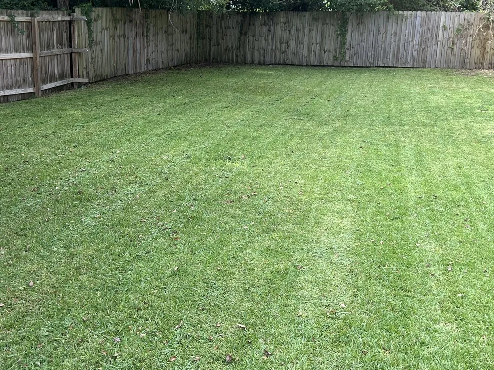 Local lawn mowing service with custom design across Pensacola, FL - Mr Landscaping
