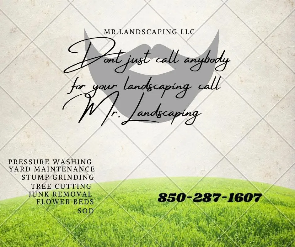 Custom yard cleanup service in Pensacola, FL by Mr Landscaping