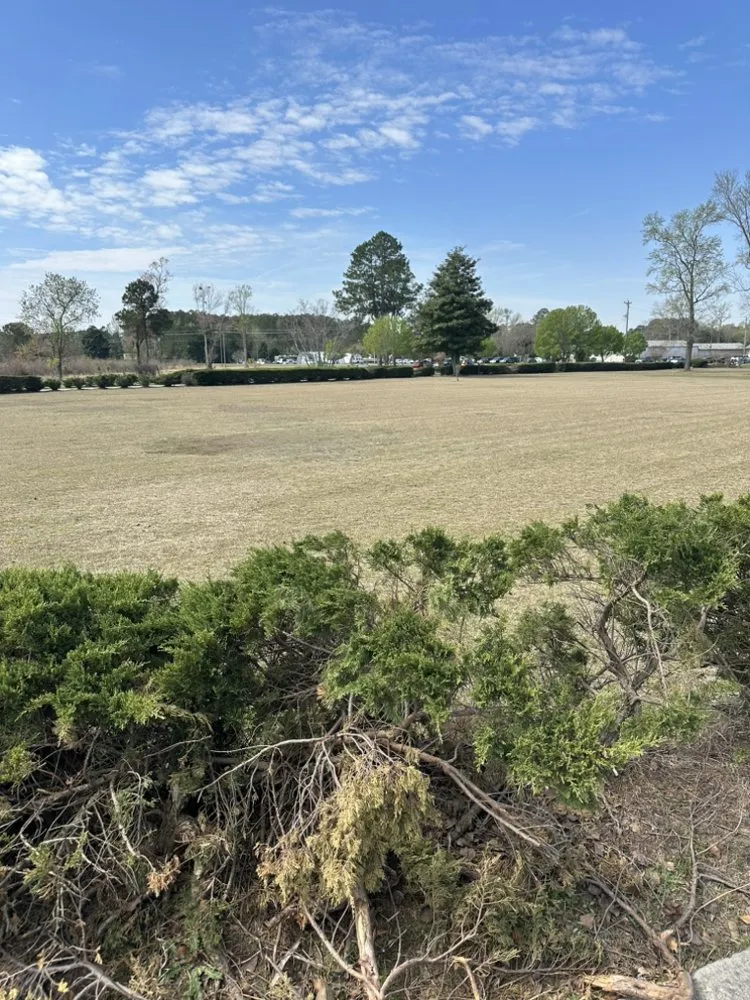 Custom lawn care service in Saint Pauls, NC - M&R Landscaping