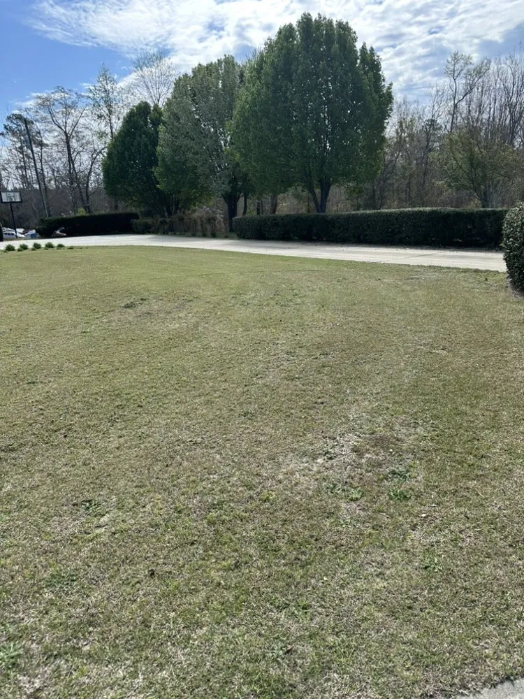 Reliable lawn care service in Saint Pauls, NC by M&R Landscaping