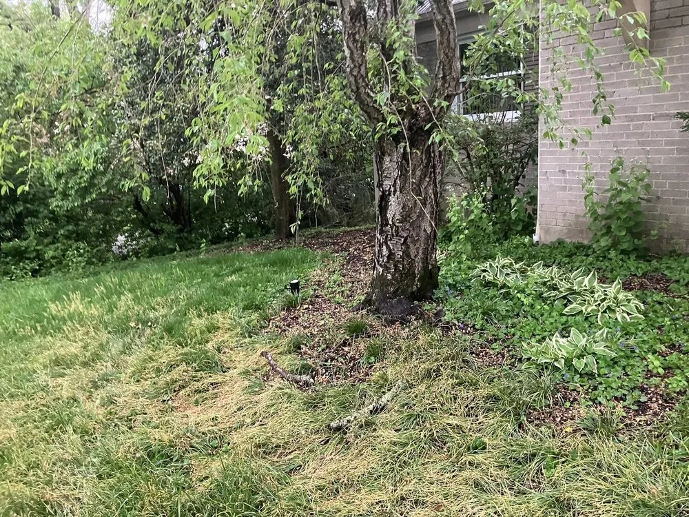 Top-rated yard cleanup service in West Chester Township, OH by M&R Landscaping