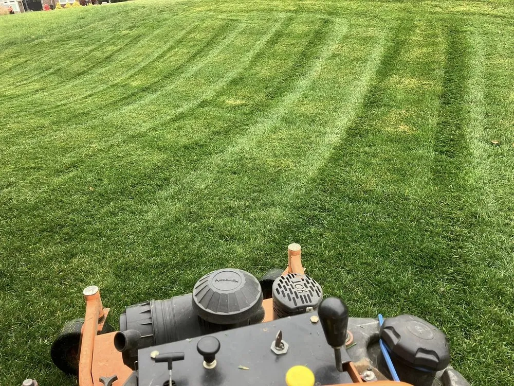 Trusted yard cleanup service near you in West Chester Township, OH by M&R Landscaping