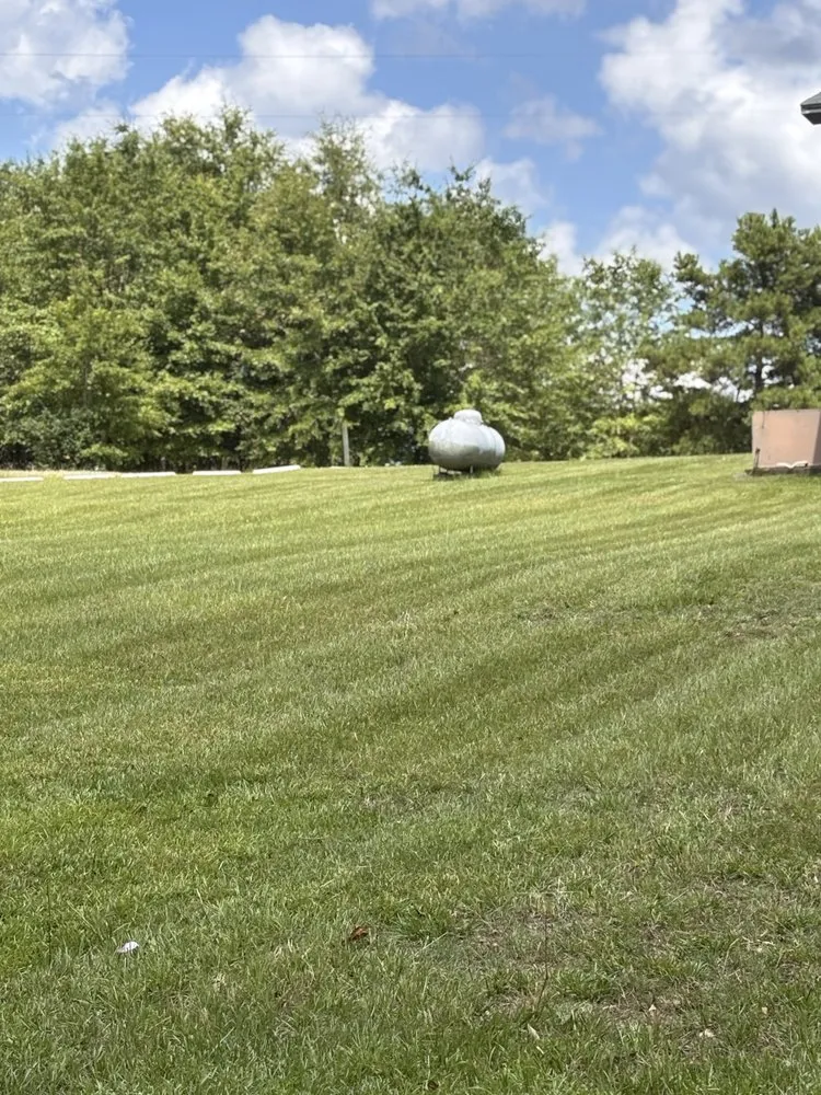 Top-rated lawn care service in Wadesboro, NC - Mr Landscapper