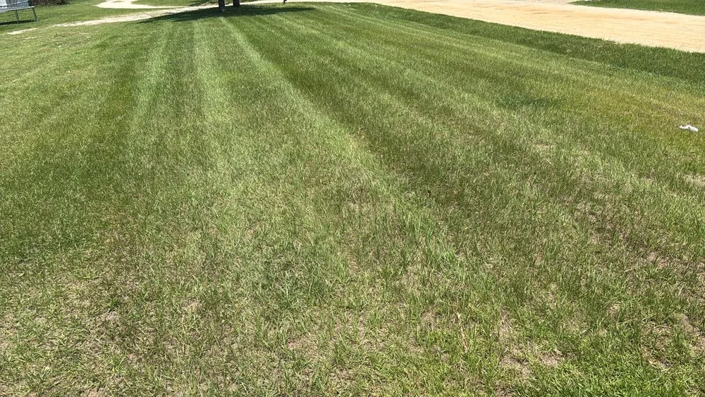 Reliable residential landscaping for residential properties in Wadesboro, NC by Mr Landscapper