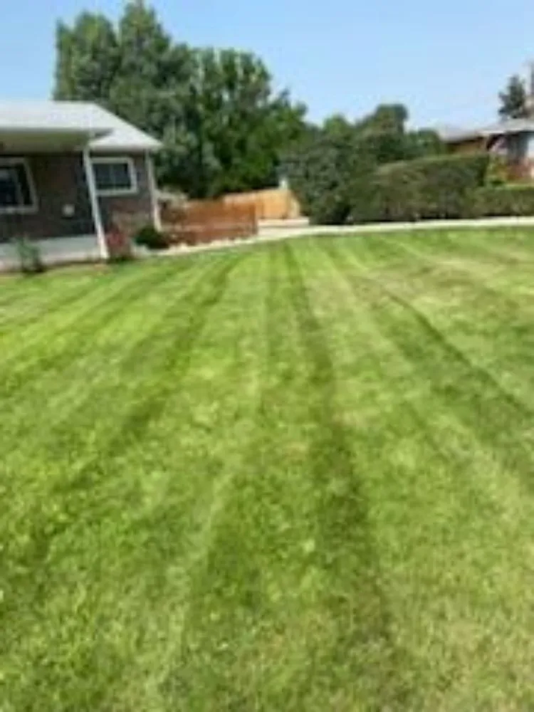 Top-rated yard maintenance in Fort Lupton, CO by Mr Lansdcaping