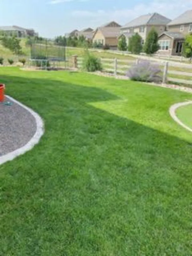 Top-rated landscaping services experts serving Fort Lupton, CO - Mr Lansdcaping