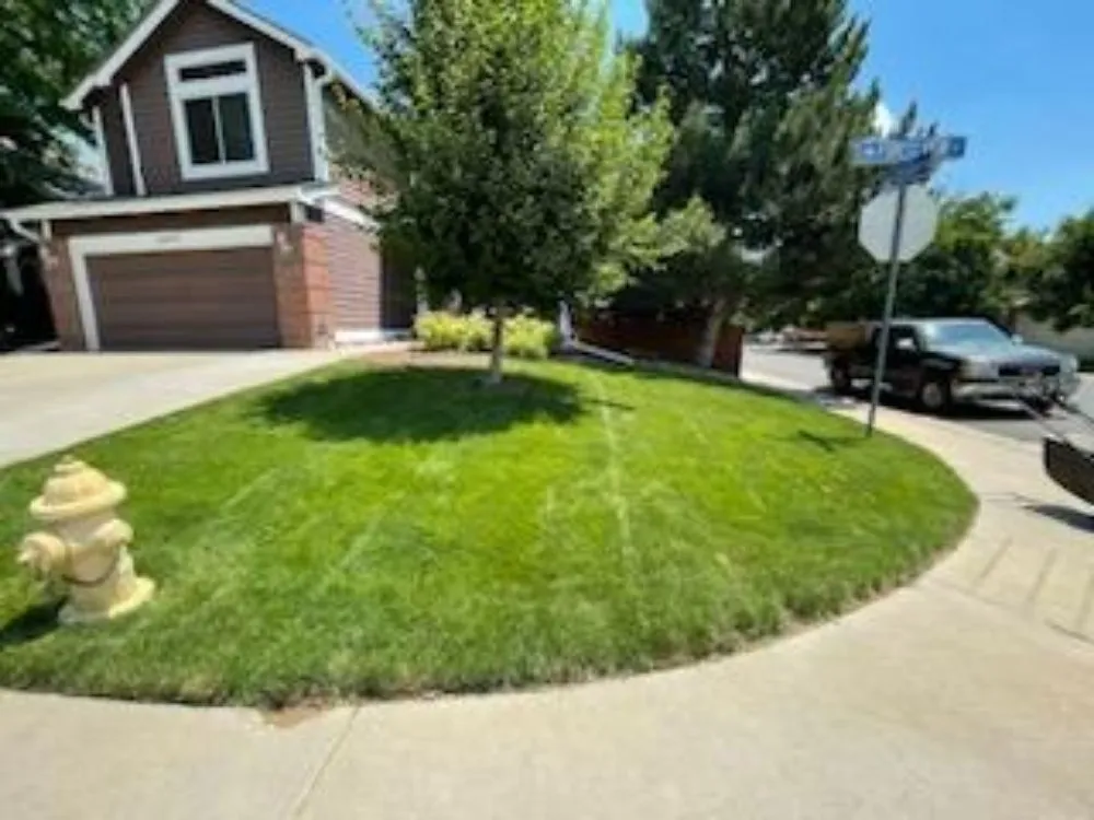 Affordable lawn mowing service experts serving Fort Lupton, CO - Mr Lansdcaping