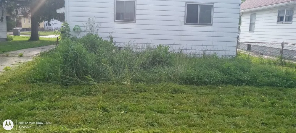 Top-rated yard maintenance in Toledo, OH by Mr. LAWN & Garden