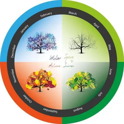 MR Lawn & Landscape Logo